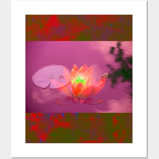 Pink Lotus Posters and Art